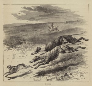 Coursing